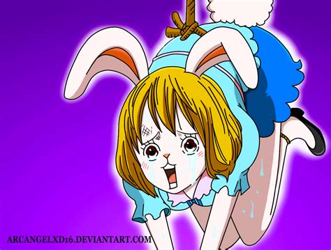 carrot one piece sex|Carrot One Piece Porn Videos 